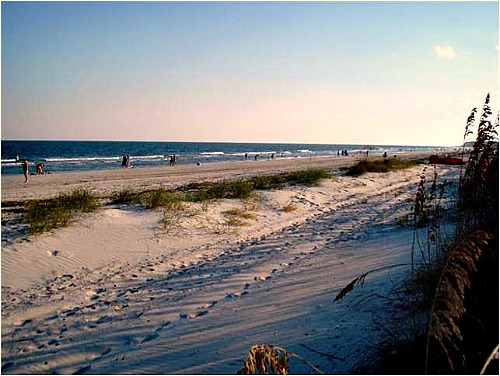 Driessen Beach Park Hilton Head Sc