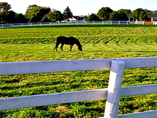 Horseback Riding at Haig Point Equestrian Center