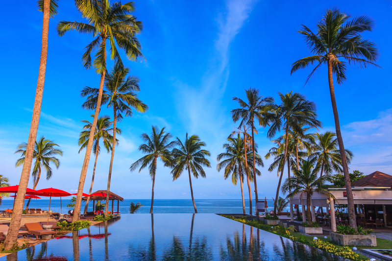 Pool surrounded by palm trees overlooking the ocean.